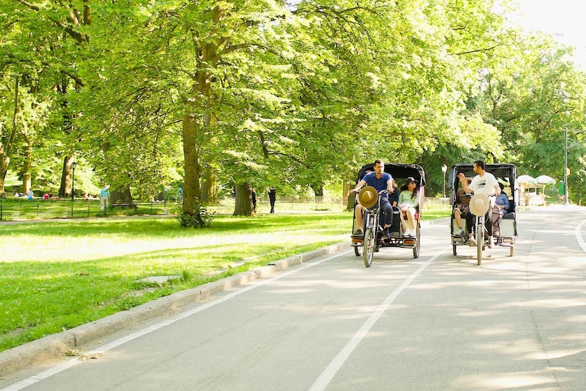 Picture 5 for Activity NYC: Central Park Celebrity Homes & Film Spots Pedicab Tour