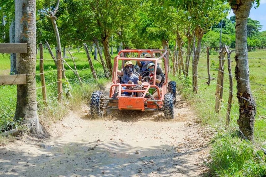 Picture 7 for Activity Extreme Dune Buggy Adventure in Macao Beach & Cenote