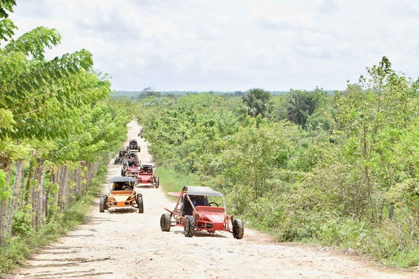 Picture 9 for Activity Extreme Dune Buggy Adventure in Macao Beach & Cenote