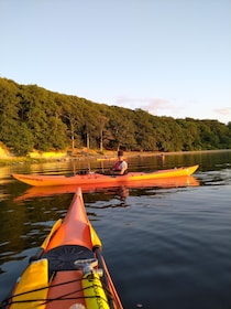 Guided kayaking on Roskilde Fjord: Sunday afternoon