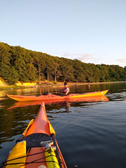 Roskilde:Guided kayaking on Roskilde Fjord: Sunday afternoon