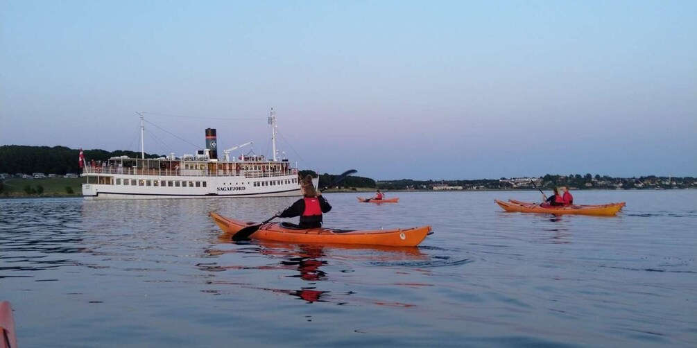 Picture 3 for Activity Roskilde:Guided kayaking on Roskilde Fjord: Sunday afternoon