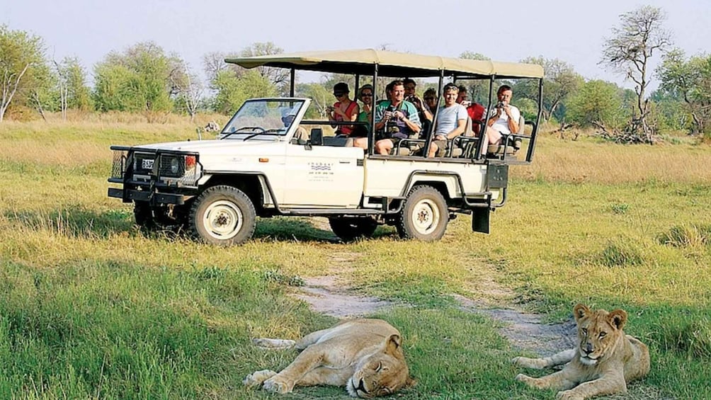Picture 1 for Activity 3 Day Private Tour from Livingstone - 3 Countries Game Drive