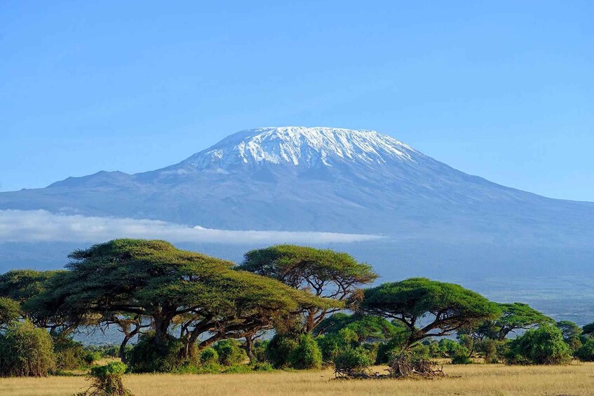 Picture 1 for Activity Day tour to Amboseli Park