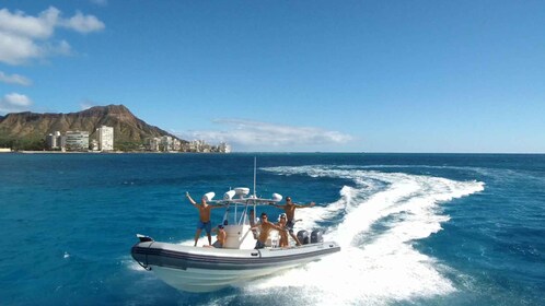 Oahu: Waikiki Private Snorkelling and Wildlife Boat Tour