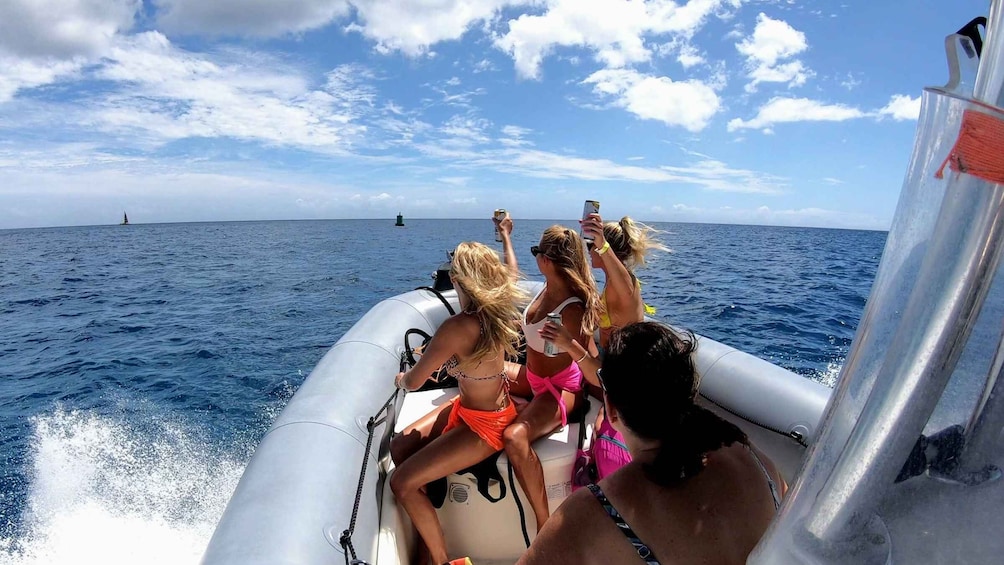 Picture 3 for Activity Oahu: Waikiki Private Snorkeling and Wildlife Boat Tour