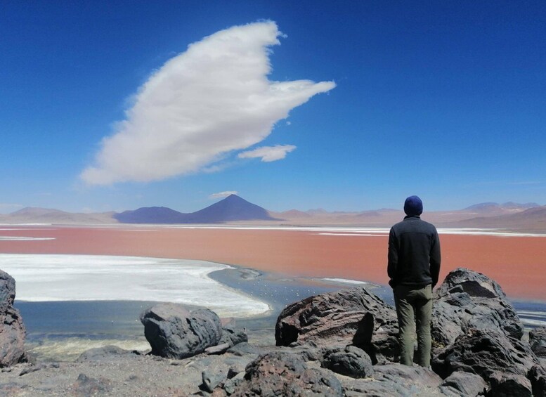 Picture 2 for Activity 2-Days private tour from Chile to Uyuni Salt Flats