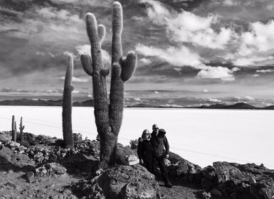 2-Days private tour from Chile to Uyuni Salt Flats