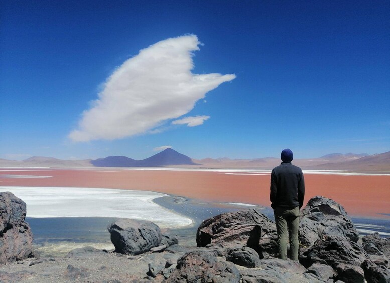 Picture 2 for Activity 2-Days private tour from Chile to Uyuni Salt Flats