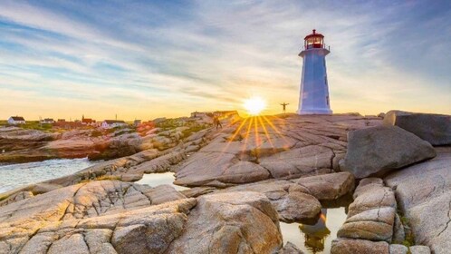 Private Sightseeing Halifax City with Peggy's Cove Visit