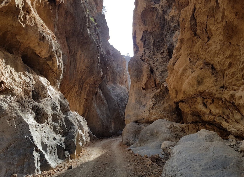 Picture 4 for Activity Guided Safari South Crete & Tripitis Gorge