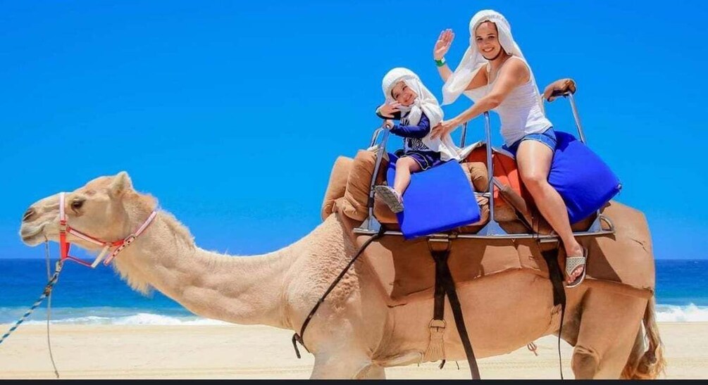 Tangier: Full-Day Private Sightseeing Tour with Camel Ride