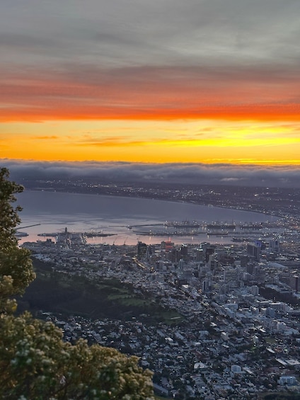 Picture 12 for Activity Cape Town: Guided Lion's Head Hike at Sunrise or Sunset