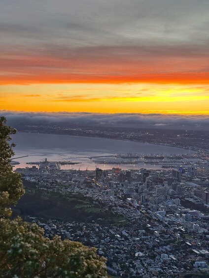 Picture 12 for Activity Cape Town: Guided Lion's Head Hike at Sunrise or Sunset