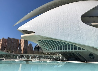 Valencia: recorrido por la gran ciudad en bicicleta, bicicleta eléctrica o ...
