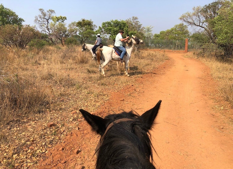 Picture 10 for Activity From Johannesburg: Horse-Riding Safari and Cable Car Tour