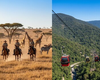 จากโจฮันเนสเบิร์ก: ทัวร์ขี่ม้าซาฟารีและเคเบิลคาร์