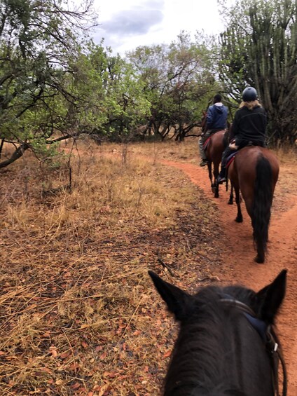 Picture 13 for Activity From Johannesburg: Horse-Riding Safari and Cable Car Tour
