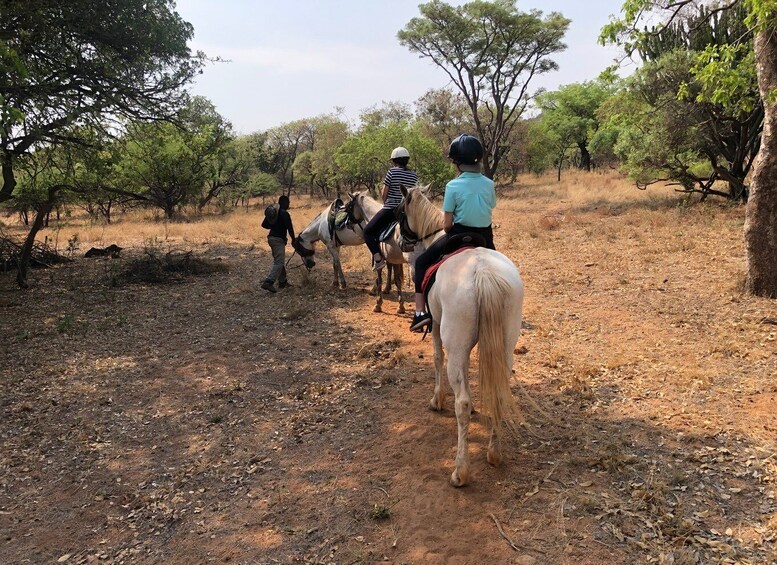 Picture 14 for Activity From Johannesburg: Horse-Riding Safari and Cable Car Tour