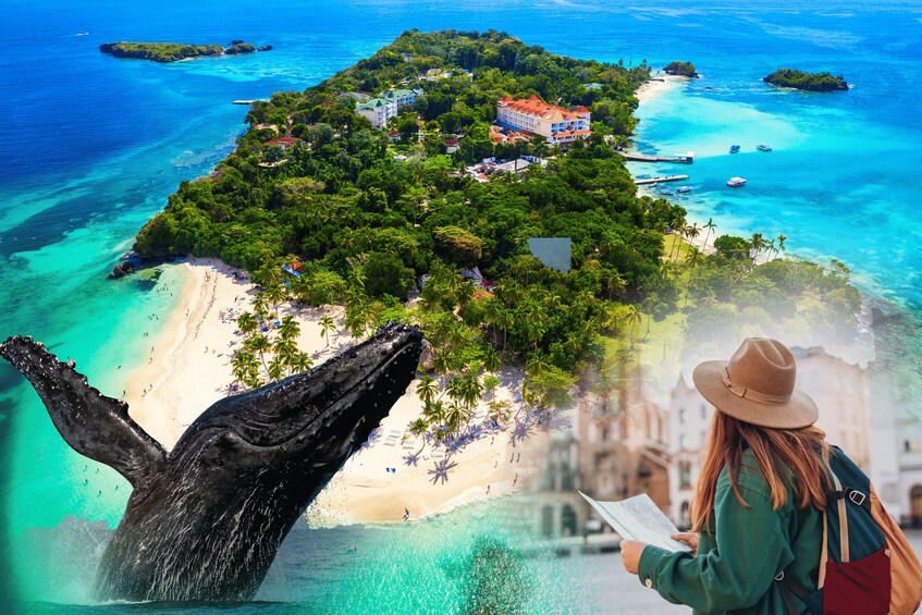 Samana: City Tour + Whale Watching + Cayo Levantado