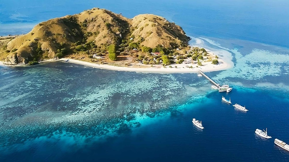 Picture 4 for Activity From Labuan Bajo: Day Tour of Komodo Island with Snorkeling