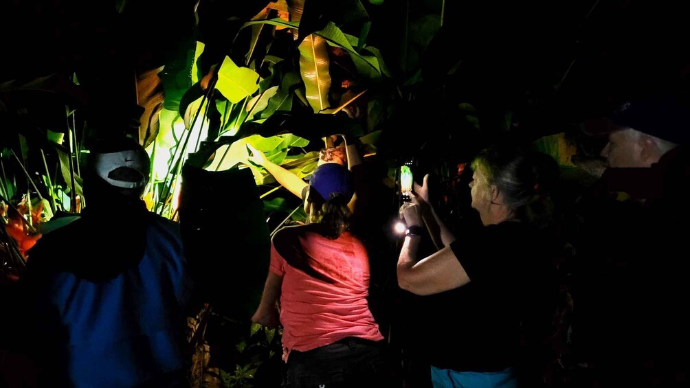 Picture 9 for Activity La Fortuna: Cooking Class+Tortilla Making+Dinner+Frog Tour