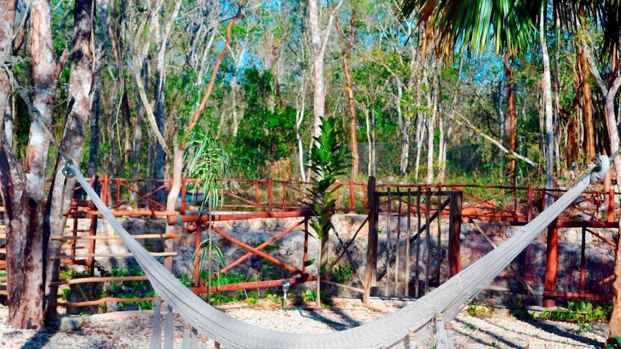 Picture 3 for Activity Tulum: Swim in Cenote Kaab Ha with Lunch