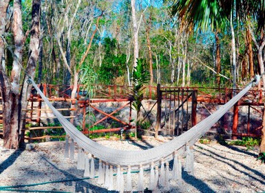 Tulum: Swim in Cenote Kaab Ha with Lunch