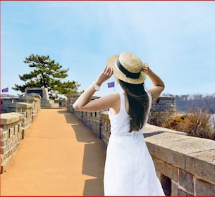 Petualangan Eksklusif Pulau Ganghwa: Observatorium Korea Utara