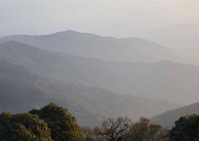 Picture 7 for Activity Tiger Hill Darjeeling Nature Walk (3 Hours Guided Tour)