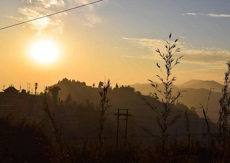 Picture 1 for Activity Tiger Hill Darjeeling Nature Walk (3 Hours Guided Tour)