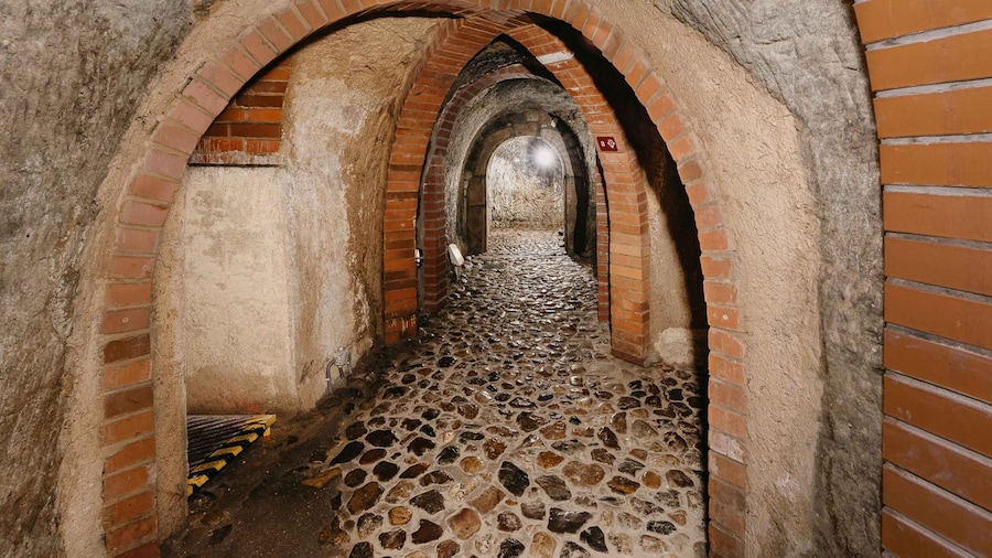 Pilsen: Historic Underground Tour with a Glass of Beer