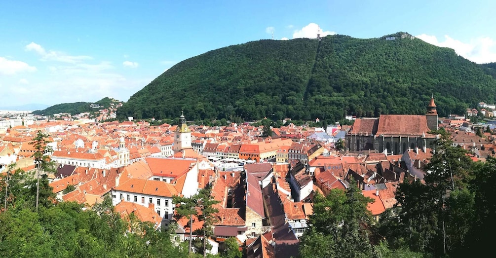 Picture 2 for Activity Private Guided Tour Dracula's Castle & Bear Sanctuary