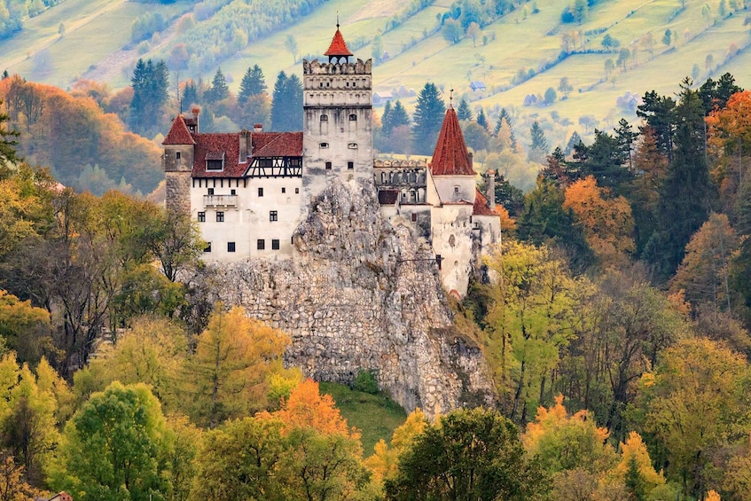 Picture 3 for Activity Private Guided Tour Dracula's Castle & Bear Sanctuary