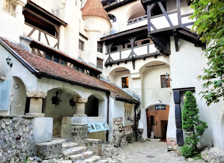 Picture 8 for Activity Bear Sanctuary, Dracula's Castle and Brasov | Private Tour
