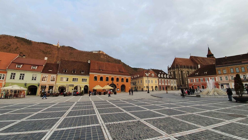 Picture 4 for Activity Private Guided Tour Dracula's Castle & Bear Sanctuary