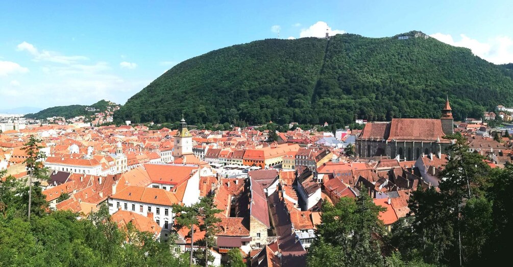 Picture 2 for Activity Private Guided Tour Dracula's Castle & Bear Sanctuary