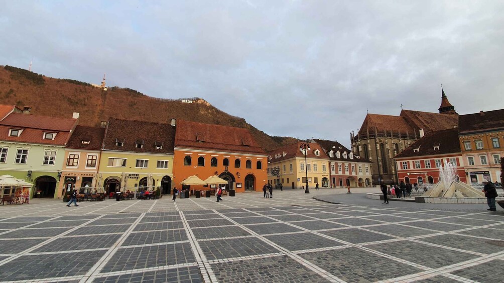 Picture 4 for Activity Private Guided Tour Dracula's Castle & Bear Sanctuary