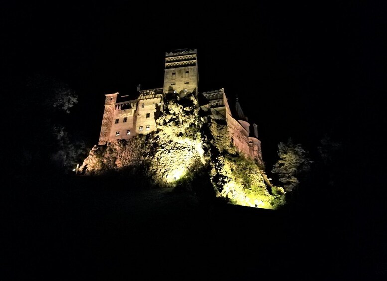 Picture 6 for Activity Bear Sanctuary, Dracula's Castle and Brasov | Private Tour