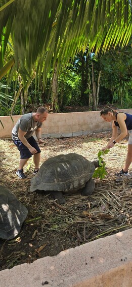 Picture 10 for Activity Praslin:DayTour ValleDeMai,CoteD'orMuseum & AnseLazio