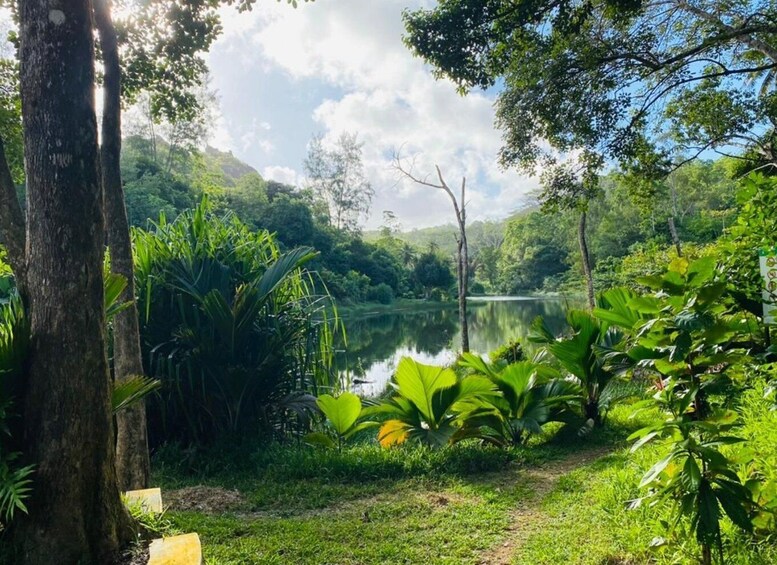 Picture 10 for Activity Tour Guide Praslin Valle De Mai, Museum & Anse Lazio Trip