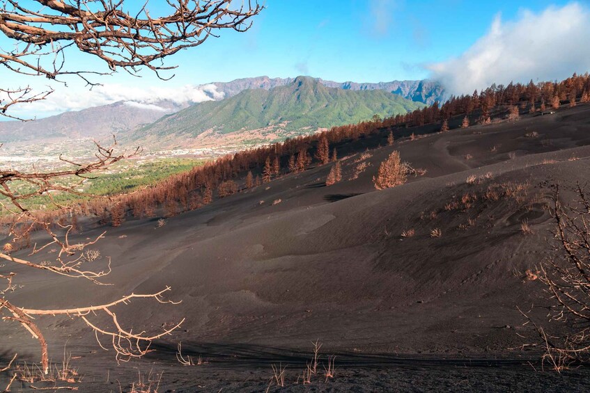 Picture 6 for Activity La Palma: Guided Volcano Trekking Tour