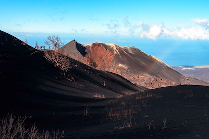 拉帕爾馬島：導遊帶領的火山健行遊覽