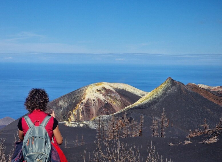 La Palma: Guided Volcano Trekking Tour