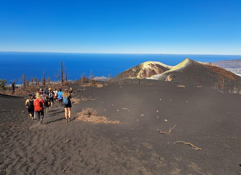 Picture 2 for Activity La Palma: Guided Volcano Trekking Tour