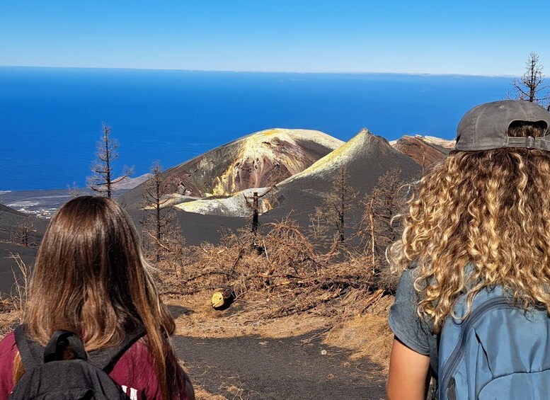 Picture 3 for Activity La Palma: Guided Volcano Trekking Tour