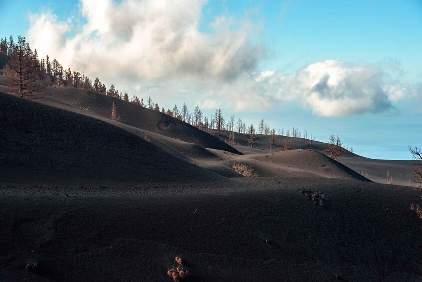 Picture 5 for Activity La Palma: Guided Volcano Trekking Tour