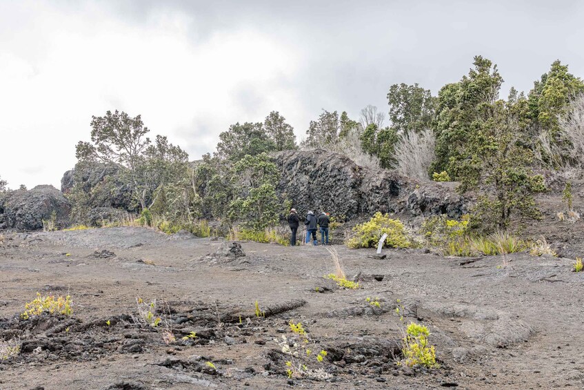 Picture 14 for Activity Hawaii: All-Inclusive Volcanoes and Waterfalls Private Tour