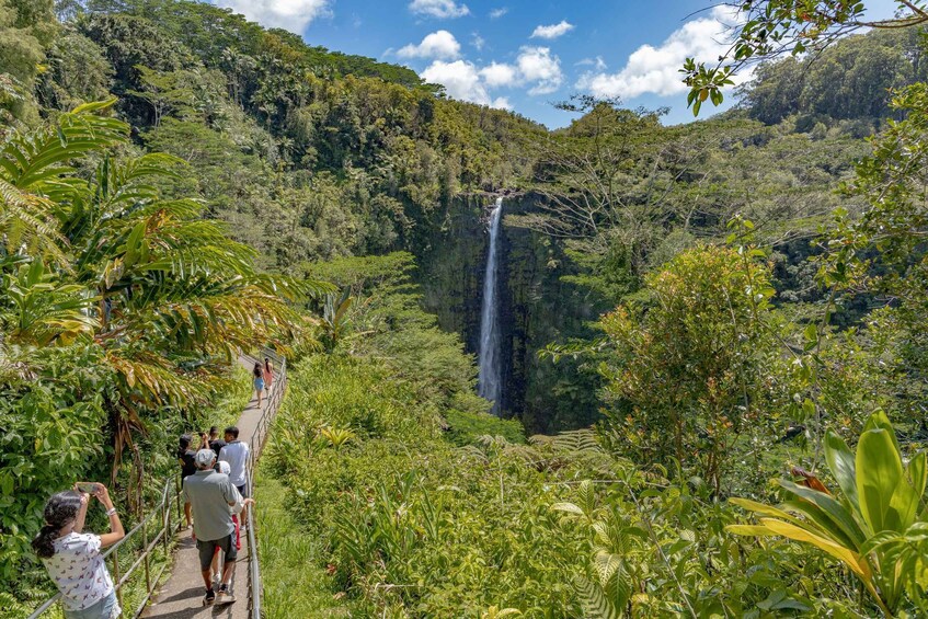 Picture 3 for Activity Hawaii: All-Inclusive Volcanoes and Waterfalls Private Tour