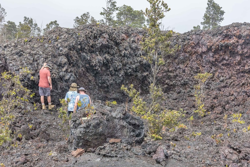 Picture 5 for Activity Hawaii: All-Inclusive Volcanoes and Waterfalls Private Tour